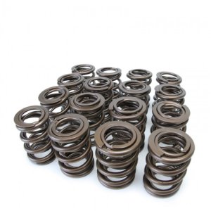 Acura Integra Valve Springs - Skunk2 Racing - Alpha Series Dual Springs - `94-`01 Acura Integra Valve Springs - Skunk2 Racing - Alpha Series Dual Springs - `94-`01